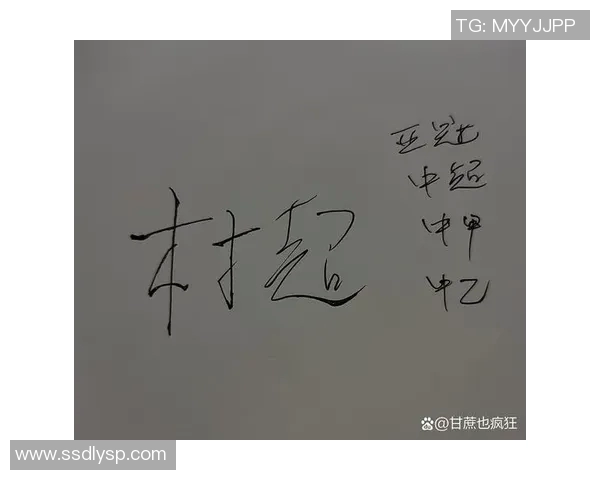 足球比赛票热销背后的故事与球迷的激情与期待