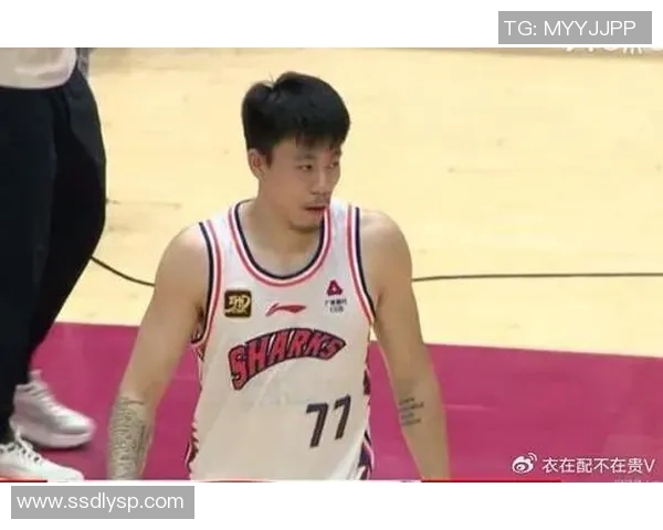 张镇麟伤病困扰季后赛表现骤降攻防两端均显低迷