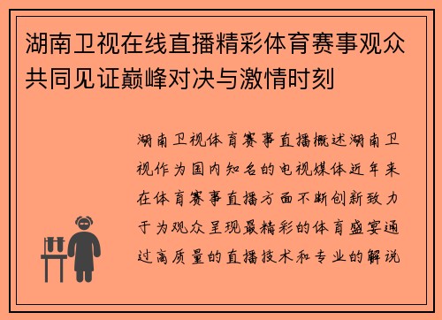 湖南卫视在线直播精彩体育赛事观众共同见证巅峰对决与激情时刻